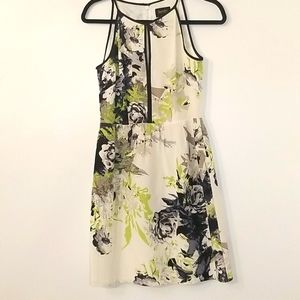 Laundry by Shelli Segal Dress